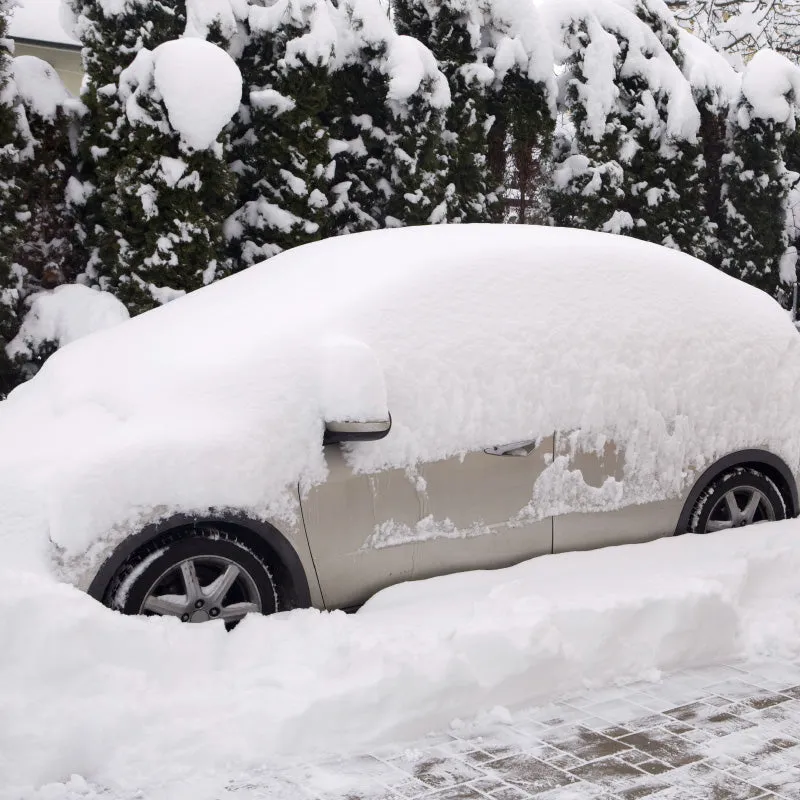 3d Wintect Cover Size g product image