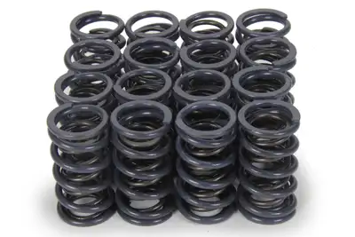 Isky 1.240 Dual Valve Springs