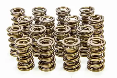 Isky 1.560 Valve Springs