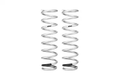 Eibach Springs Eibach Pro-Alignment Kit Camber Arm Kit 2015 to 2024 Dodge Charger