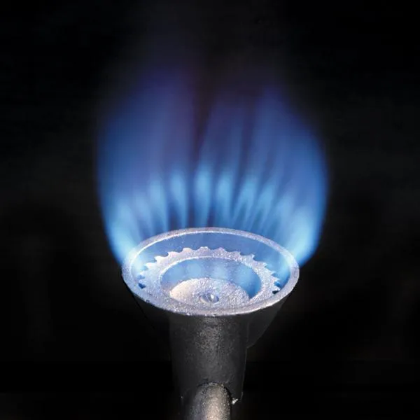 Dual Burner High Pressure Cooker product image