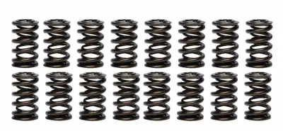 PAC Racing Springs 1.260 Dual Valve Springs (16)