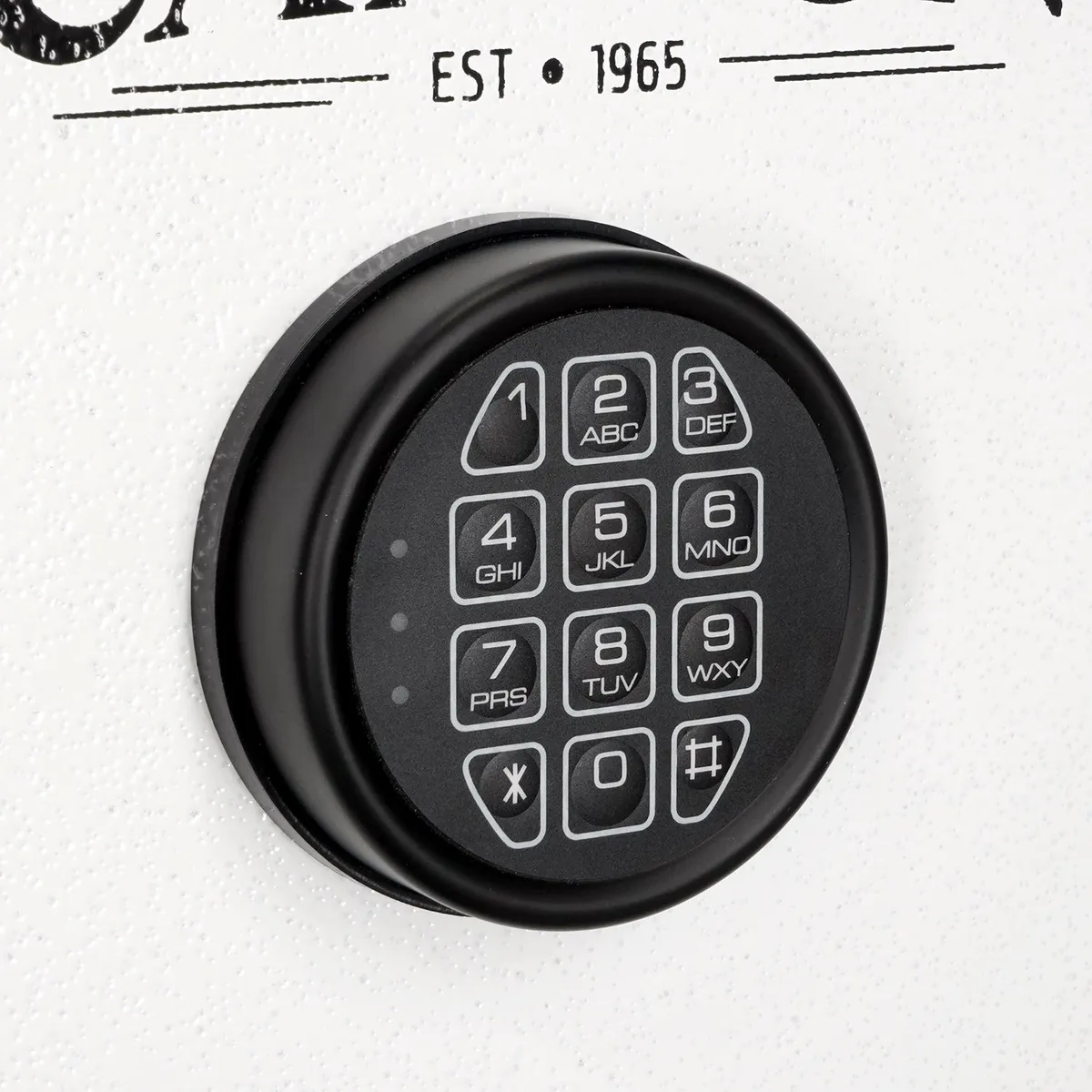 Cannon Fortified 60 min. Fire-Resistant Home Safe FD3220-H6TEB-23-DS product image