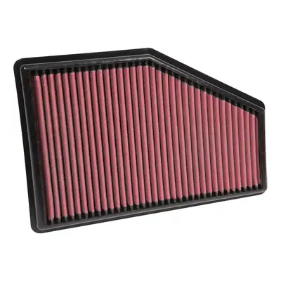 AEM Induction DryFlow Air Filter
