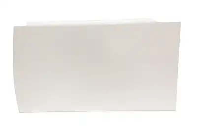 FiveStar 2019 Truck Door White Left