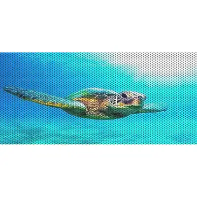 Under The Sun Inserts Turtles Collection Grille Inserts
